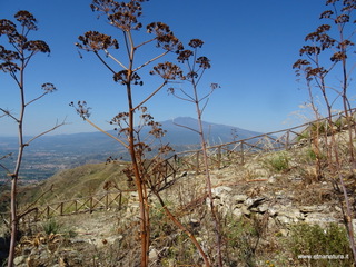 nte Venere-30-07-2020 09